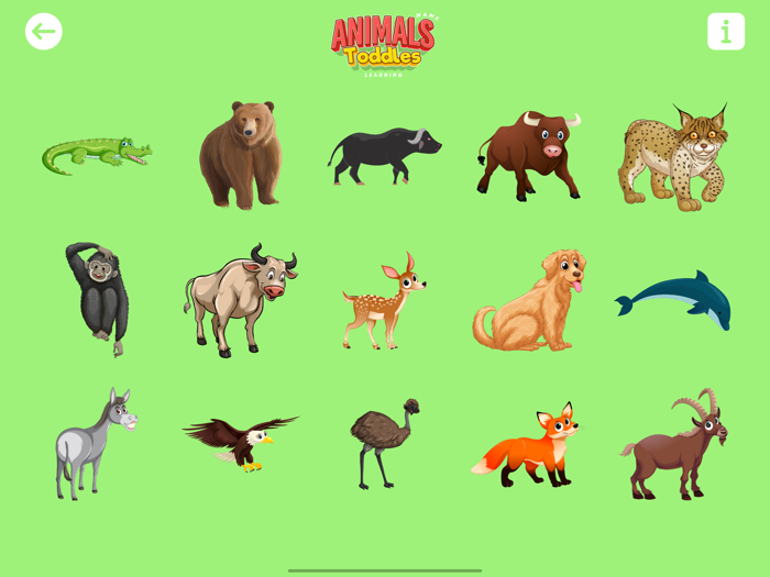Animals Name Learning Toddles