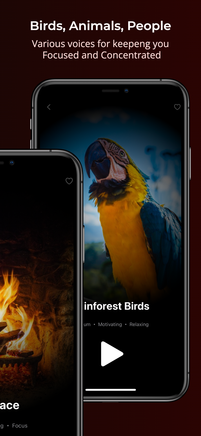 Ambients Noises Sounds Music