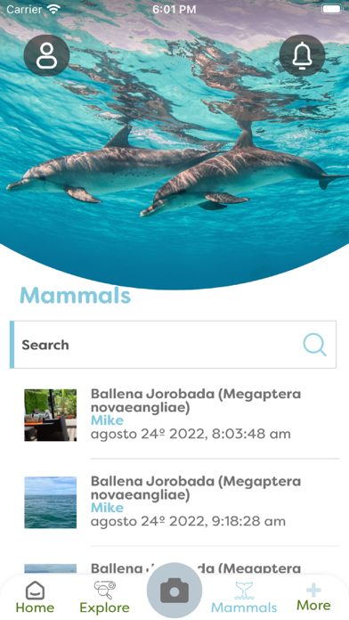 Mamíferos marinos Costa Rica Screenshot