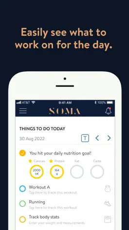 Game screenshot SOMA PT apk