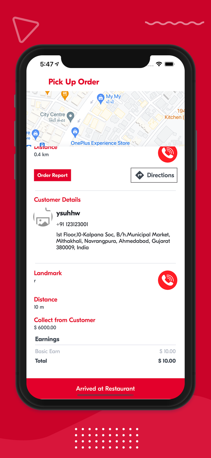 PizzaKing Delivery Boy