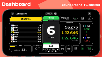 Screenshot #3 pour F1 Telemetry