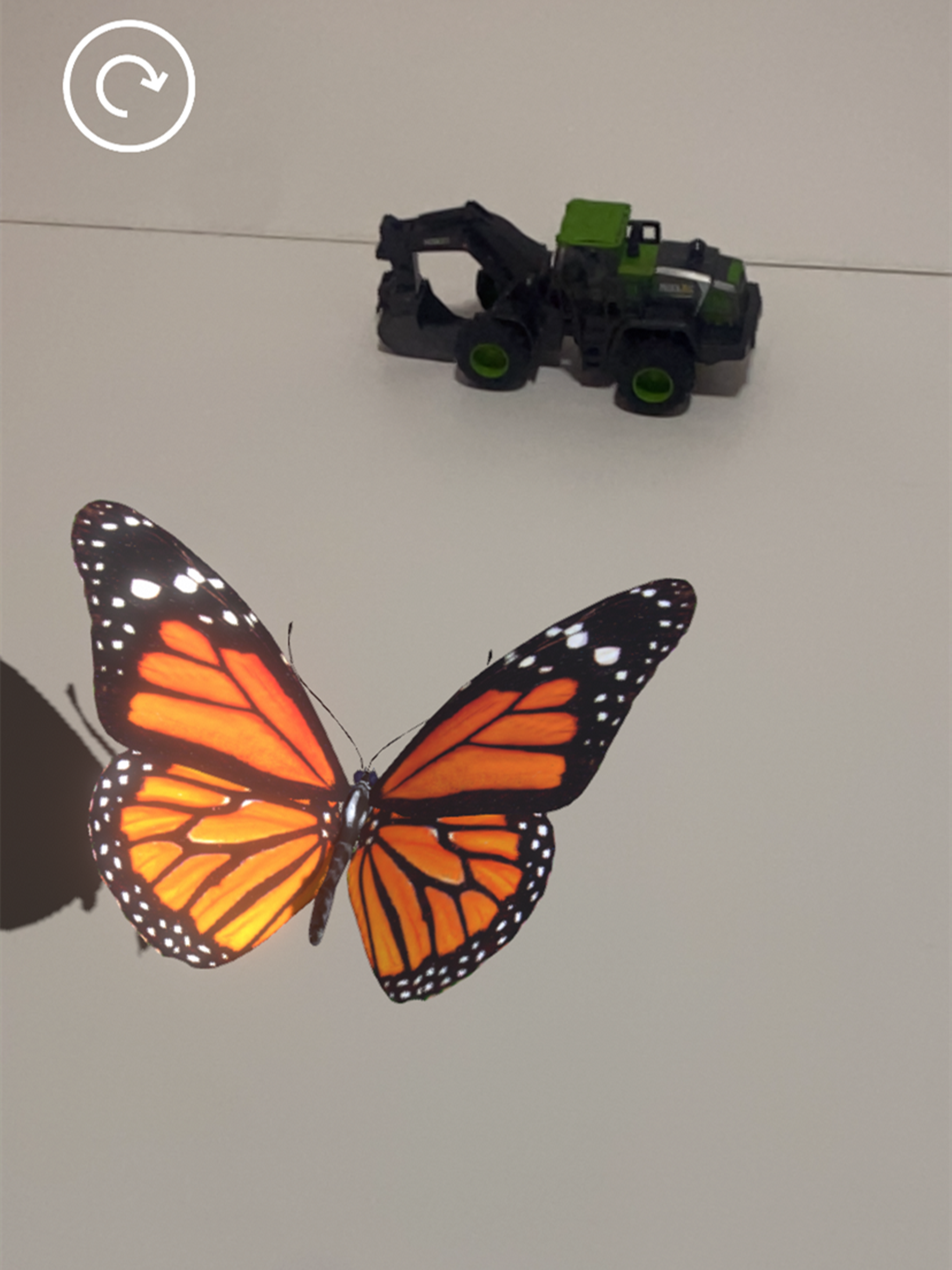 Insectes AR
