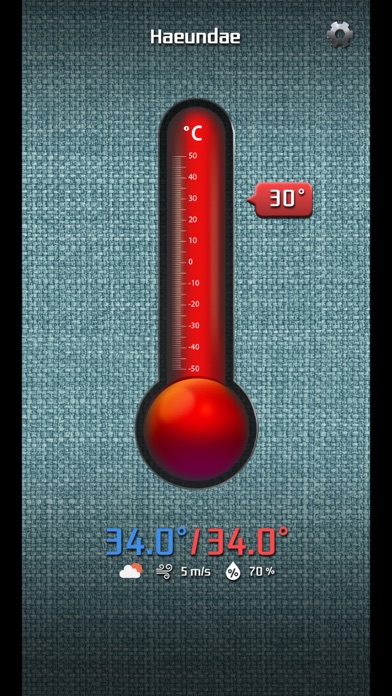 Simple Thermometer Screenshot