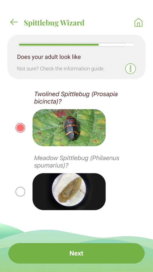 #3. Twolined Spittlebug Tool (iOS) 由: University of Hawaii