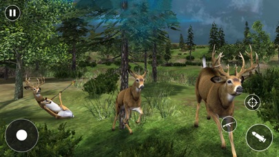 Wild Animal:Deer Hunting Games Screenshot