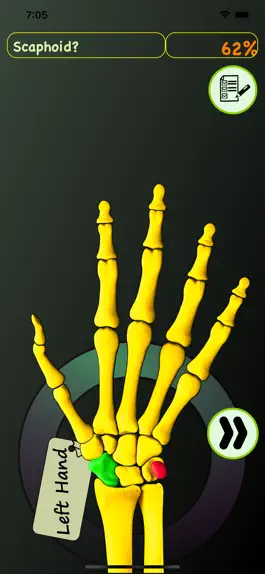 Game screenshot Hand Bones: Speed Anatomy Quiz apk