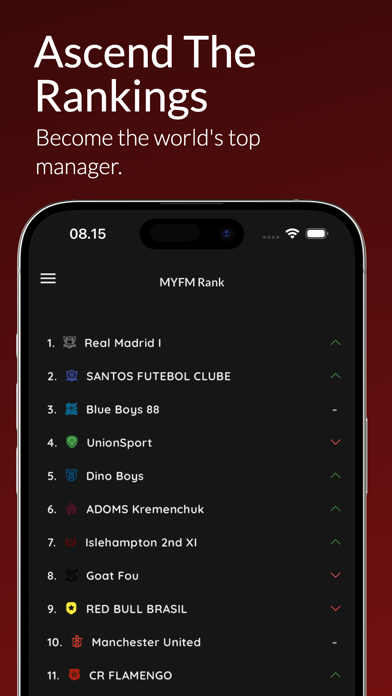 MYFM - Online Football Manager Screenshot