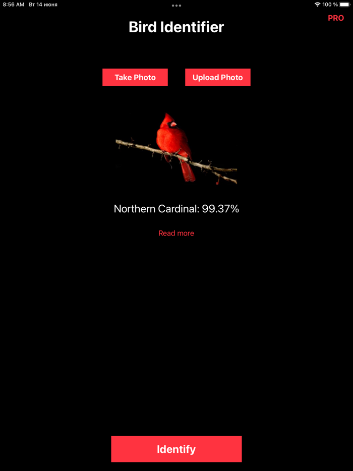 Bird Identifier Fowl Breed ID