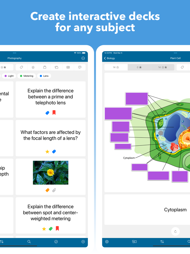 Captură de ecran Mighty Flashcards