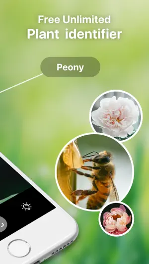 Bug Identifier Spider Insect screenshot 2