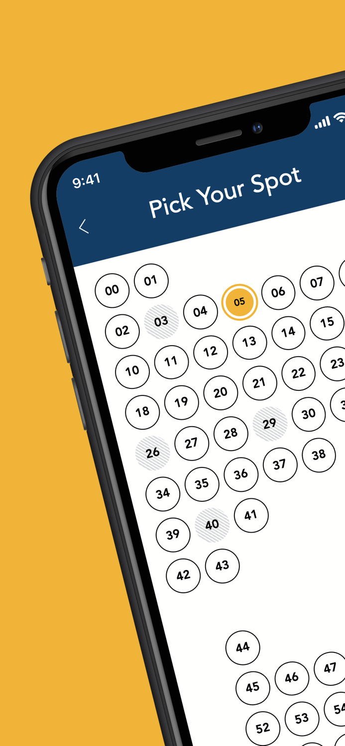 Shine Hot Pilates  Sculpt