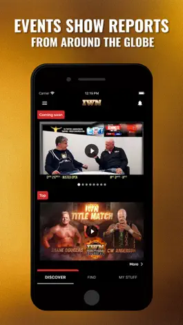Game screenshot IWN Wrestling mod apk