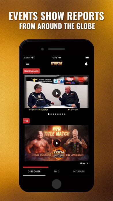 IWN Wrestling Screenshot