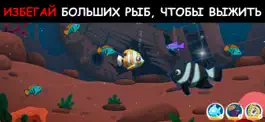 Game screenshot Hungry Ocean: Feed & Grow Fish apk