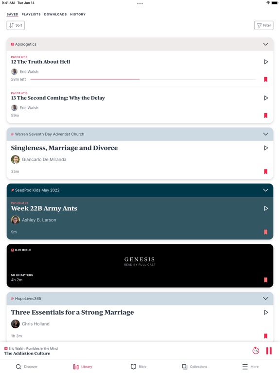 Screenshot #6 pour AudioVerse