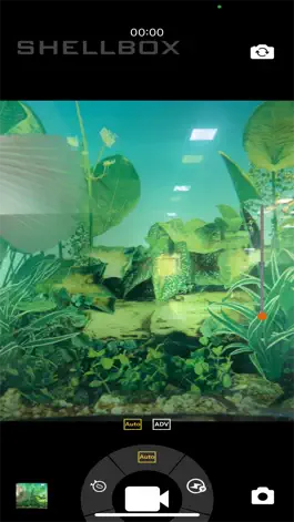Game screenshot ShellBoxCamera apk