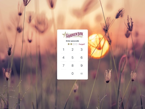 Grandview Bank iPad screenshot 2 - Finance app