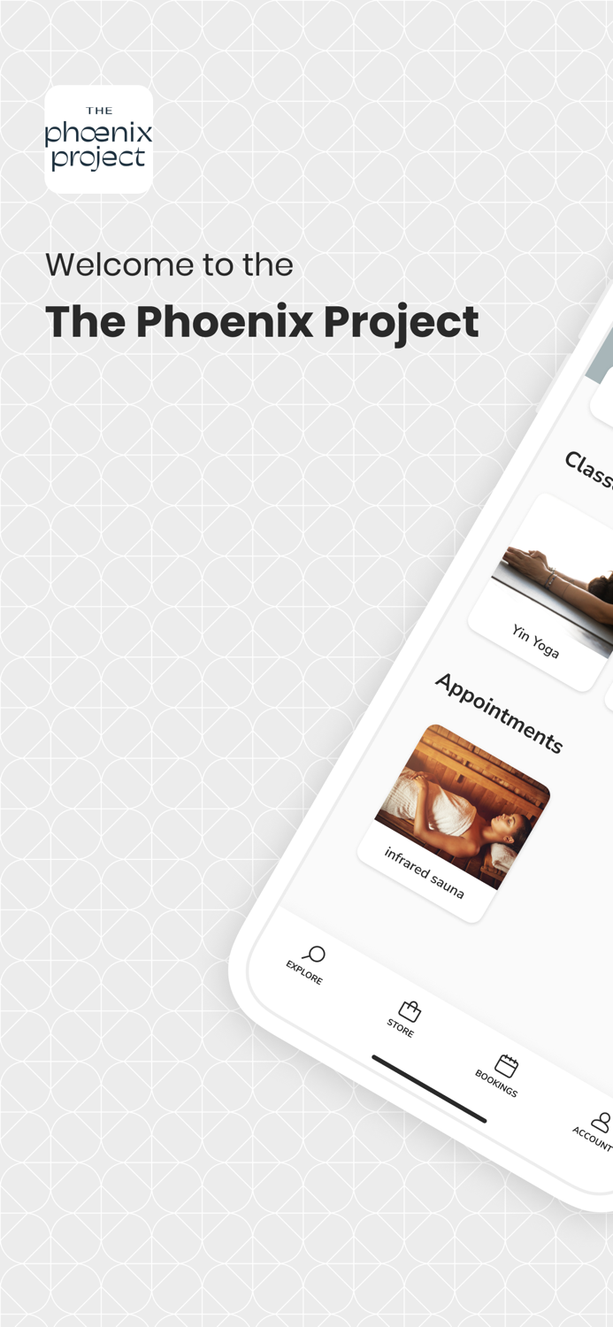 The Phoenix Project New