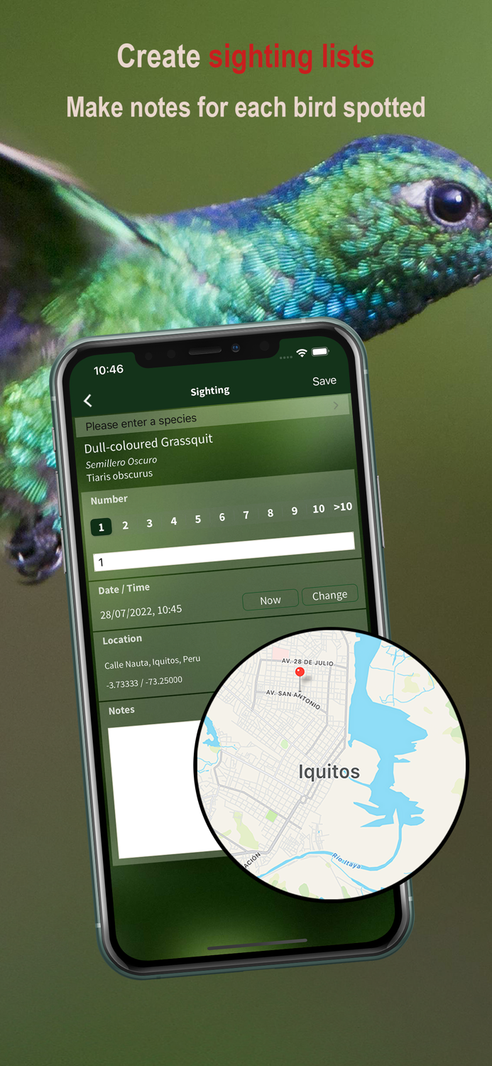 All Birds Northern Peru