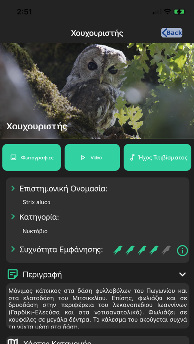 e-Pirus Birding Screenshot