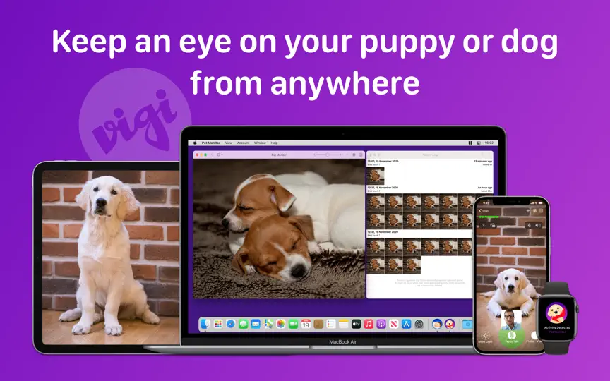 Скриншот Pet Monitor VIGI на iPhone 1