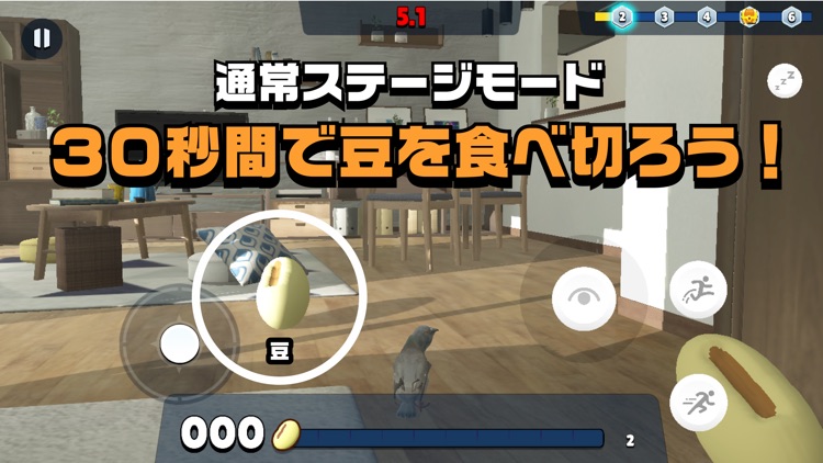 ハトリビング｜鳩がリビングで豆を食べるゲーム