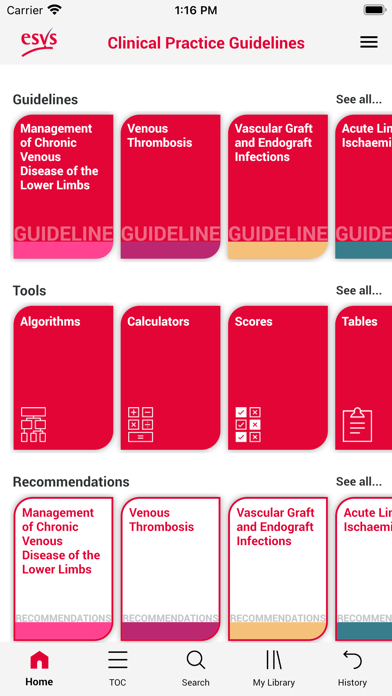 ESVS Clinical Guidelines Screenshot