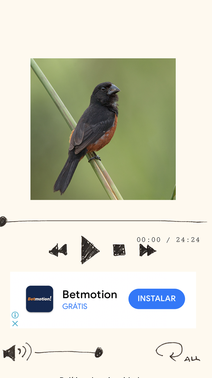 Cantos dos Pássaros Br
