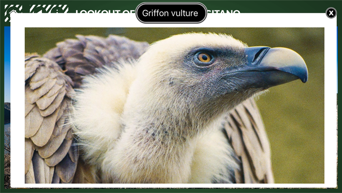 Lookout of Salto del Gitano