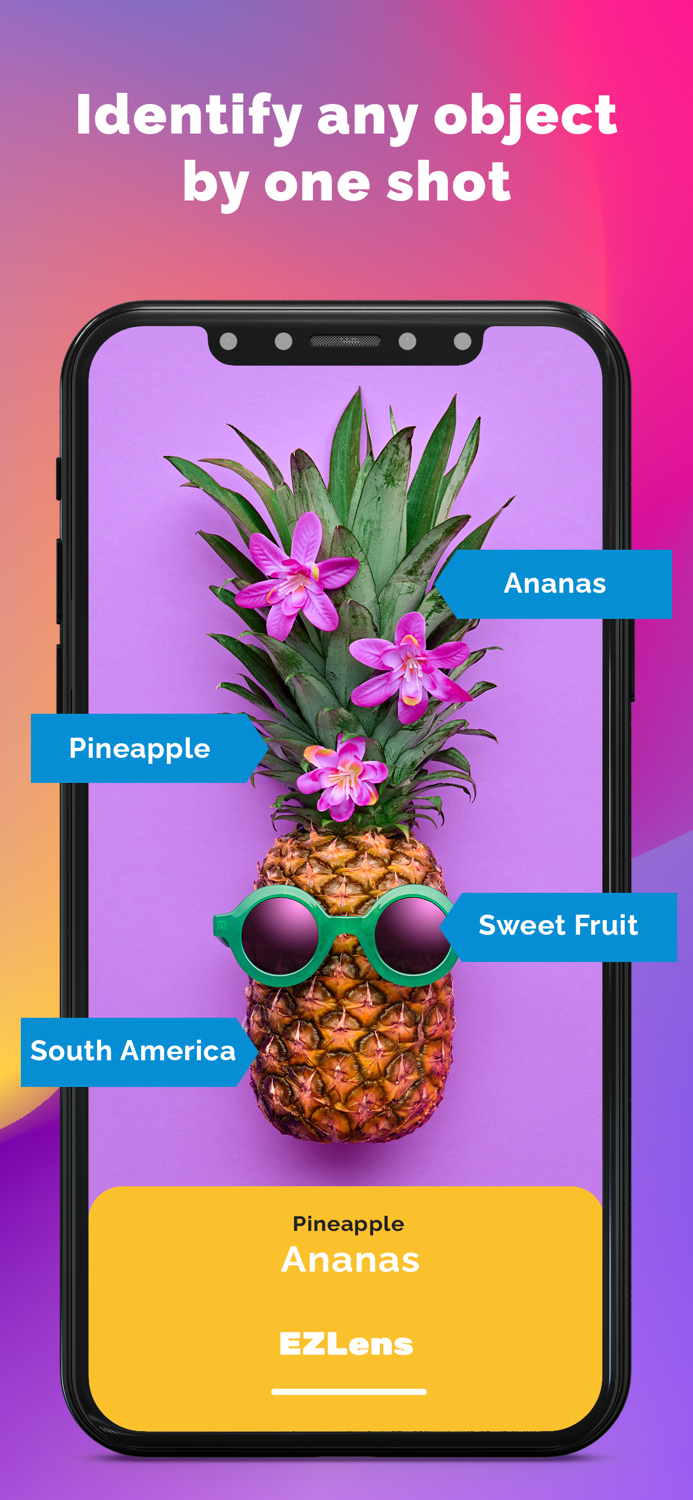 EZ Lens - Translate and Cartoon