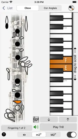 Game screenshot Fingering Woodwinds for iPhone apk