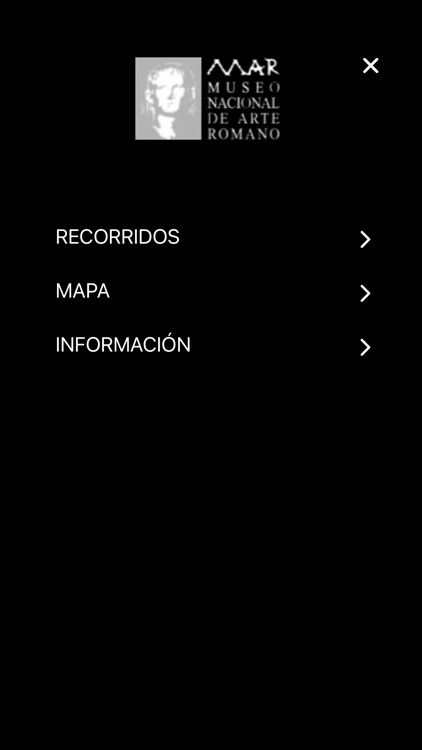 Museo Nacional de Arte Romano screenshot-7