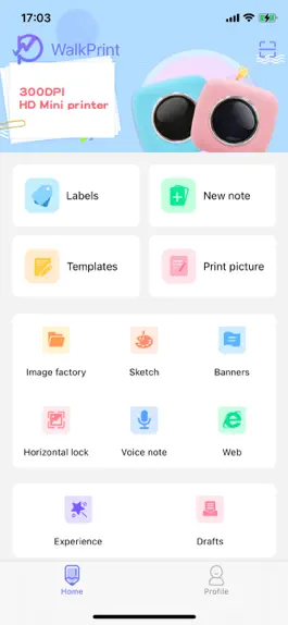 Game screenshot WalkPrint mod apk