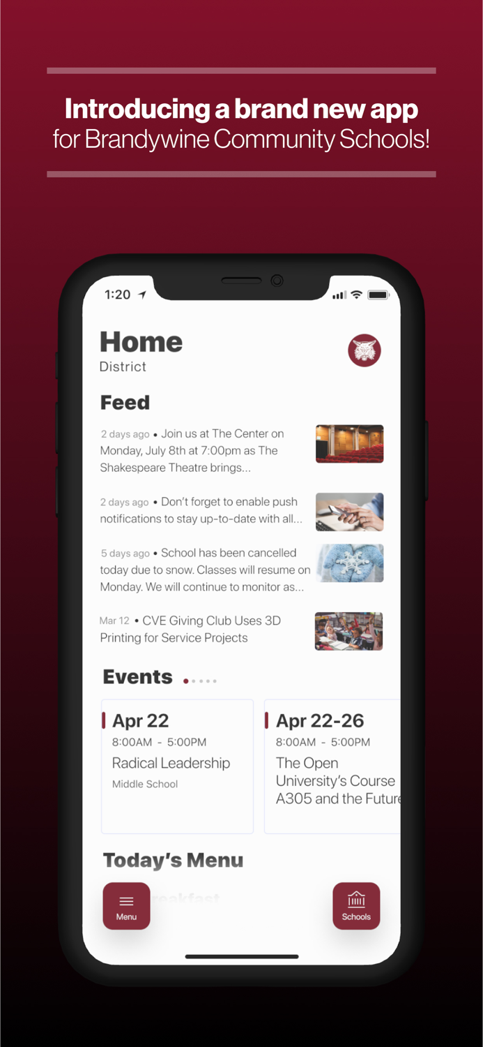 Brandywine Schools MI