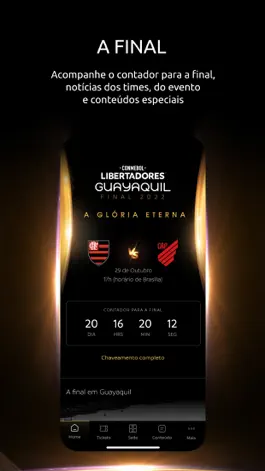 Game screenshot Libertadores - Gloria Eterna hack