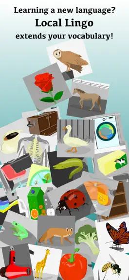 Game screenshot Local Lingo mod apk