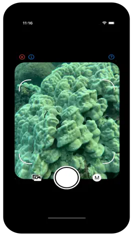 Game screenshot ReefScan mod apk