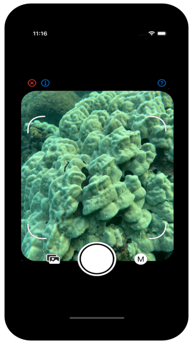ReefScan Screenshot