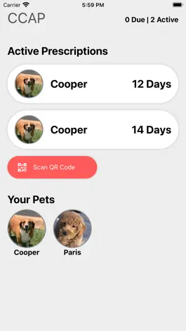Game screenshot CCAP Meds mod apk