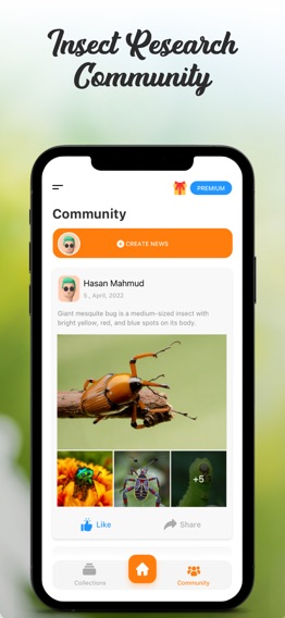 Insect ID Bug Identifierのおすすめ画像3