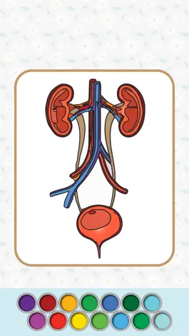 Game screenshot Anatomy Coloring Book. apk