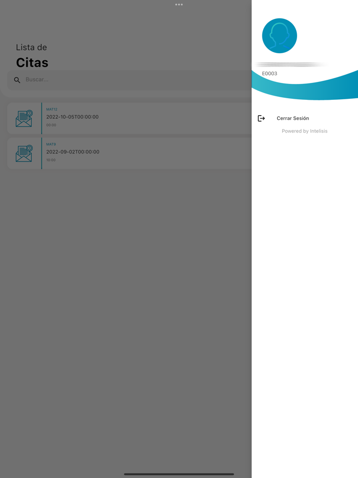 Soporte Técnicos Móvil