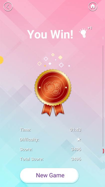 Number Place Puzzle DX