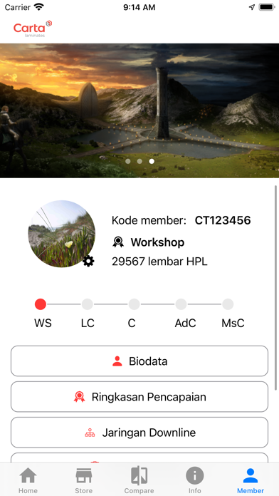E-Carta Screenshot