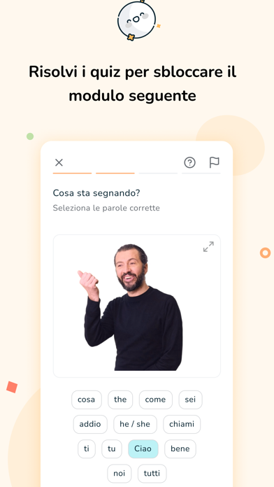 MeLISegno Screenshot
