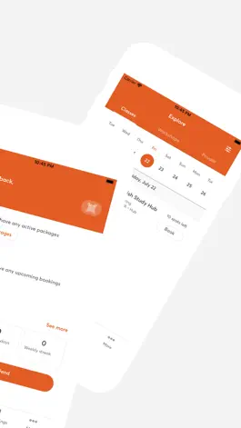 Game screenshot Success Tutoring apk
