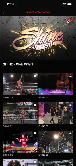 Game screenshot World Wrestling Network apk