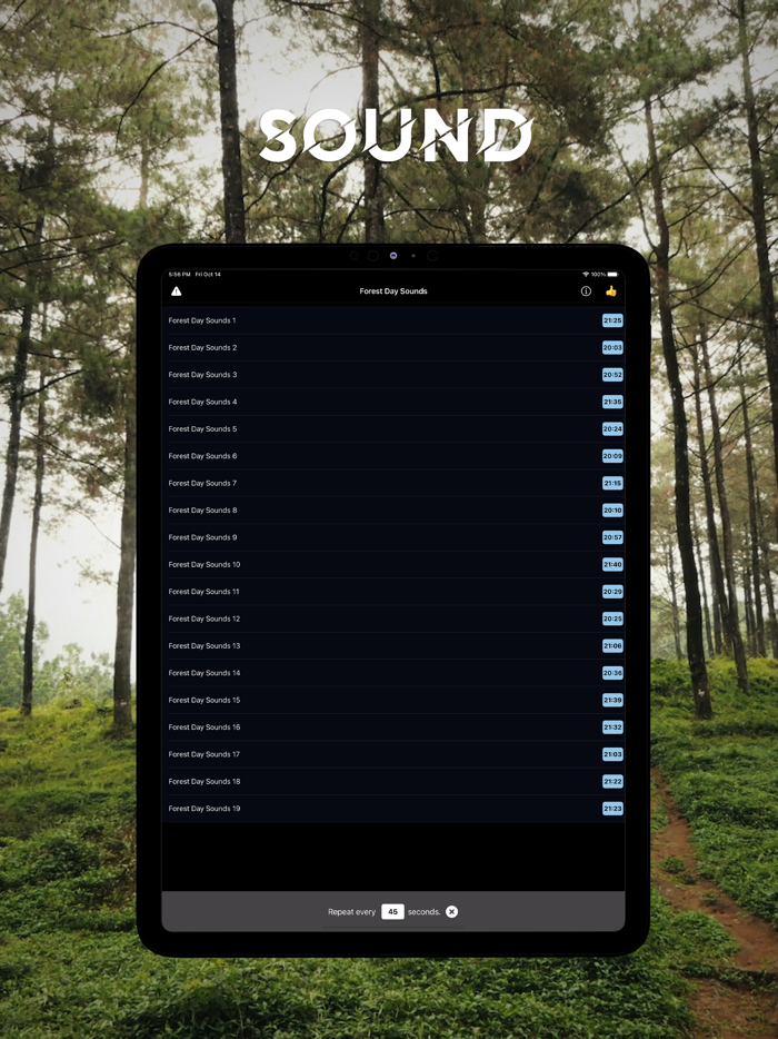 Sleeping Sounds - Forest Day