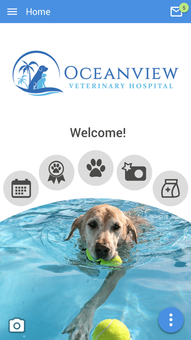 Oceanview Vet Screenshot